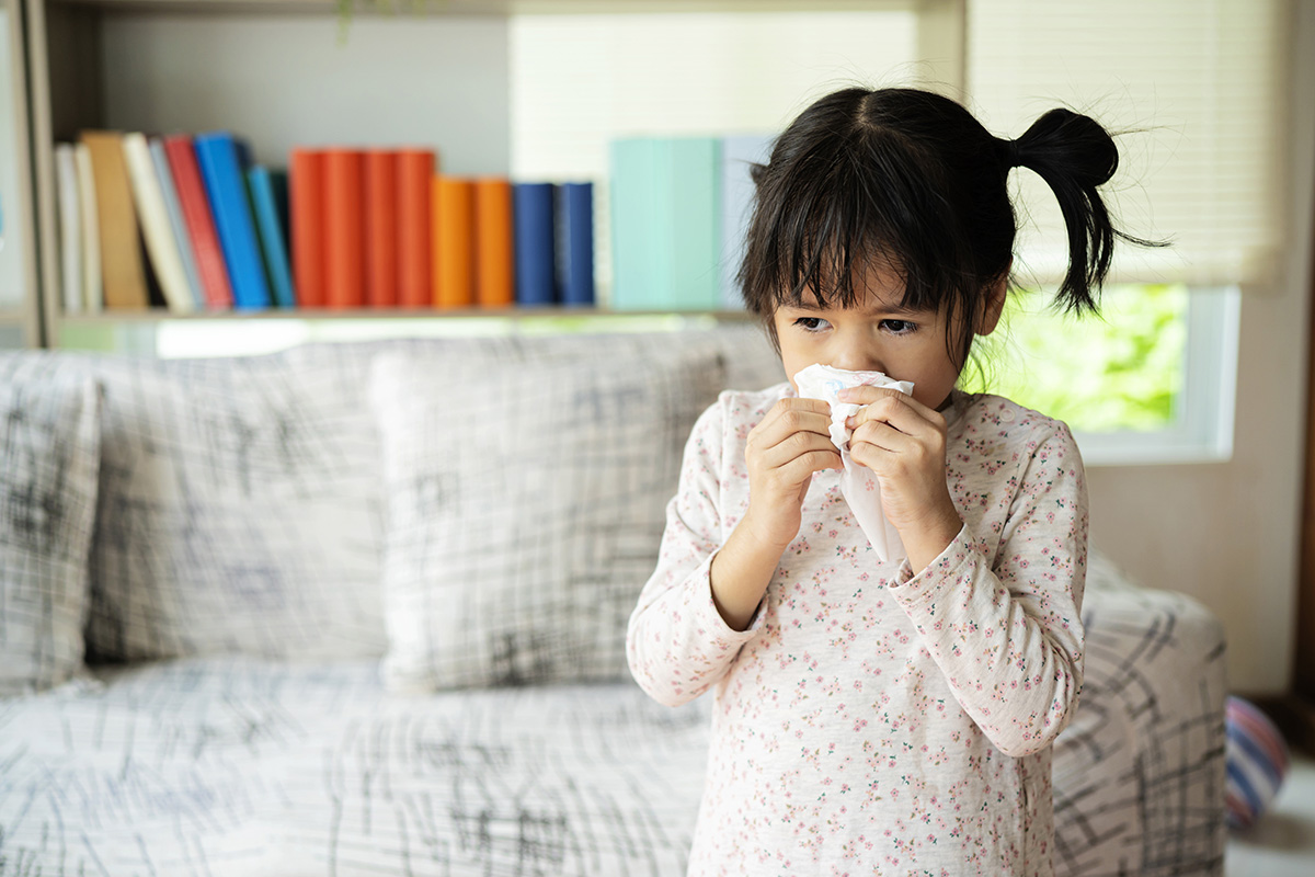 Blog Seasonal Allergies Stock