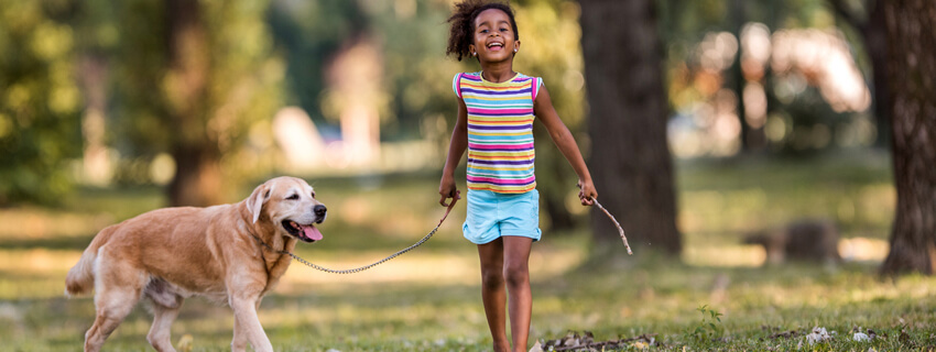 Young girl walking a dog in the park