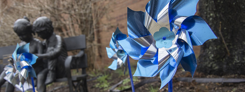 Blue pinwheels in garden.