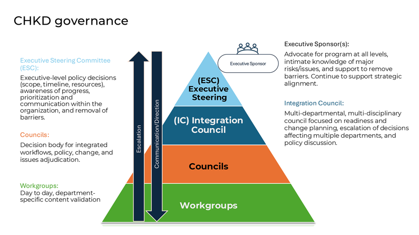 Epic Governance Model
