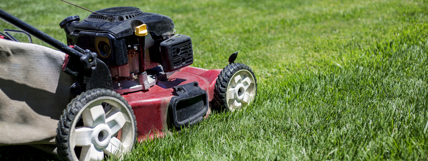 Harrington Lawnmower Safety Large