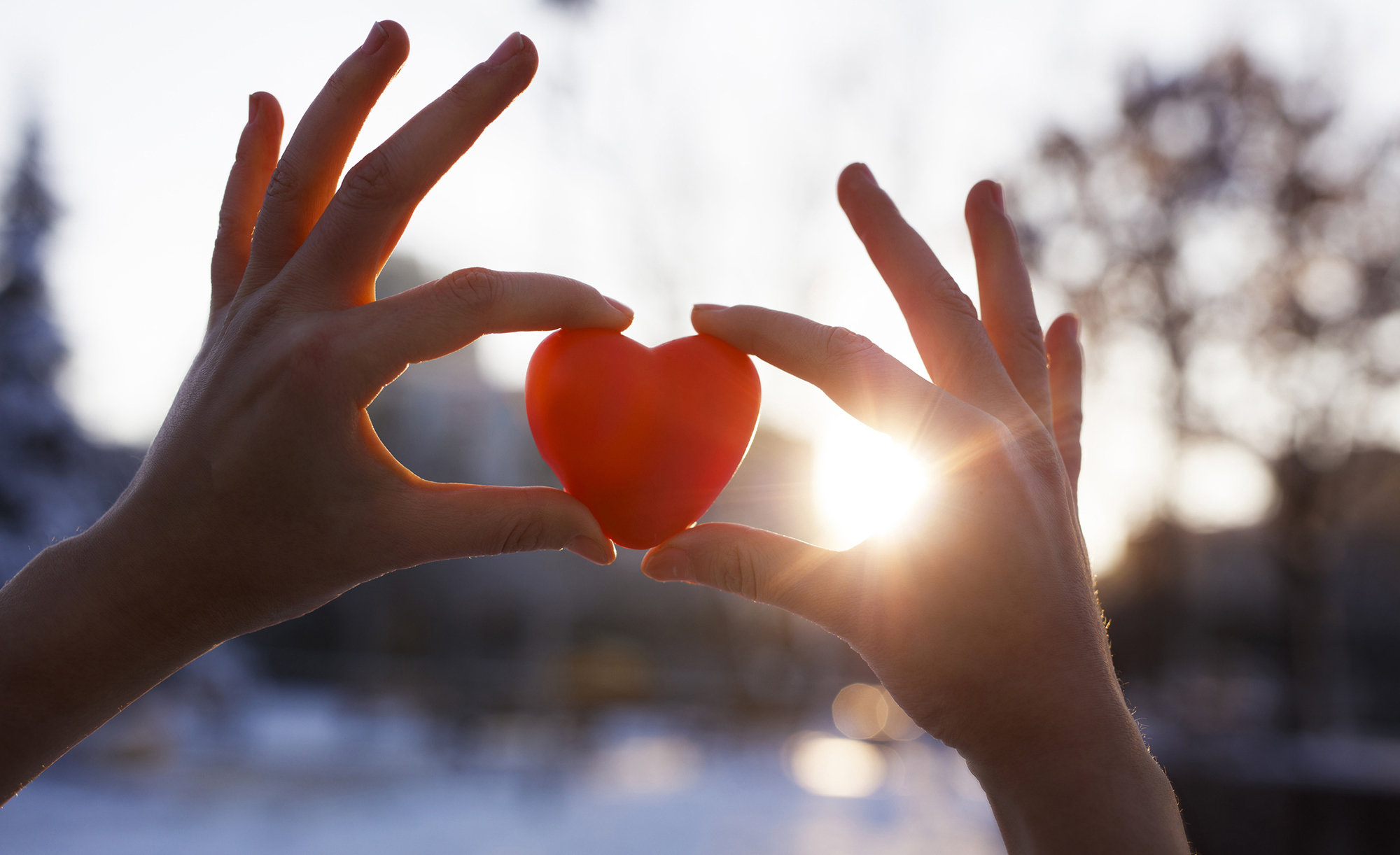 hands holding red heart at sunset stock photo