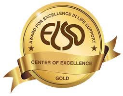 Gold Elso Award Ecmo Chkd