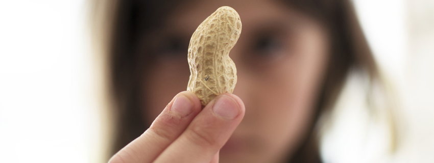 Child holding a shelled peanut.