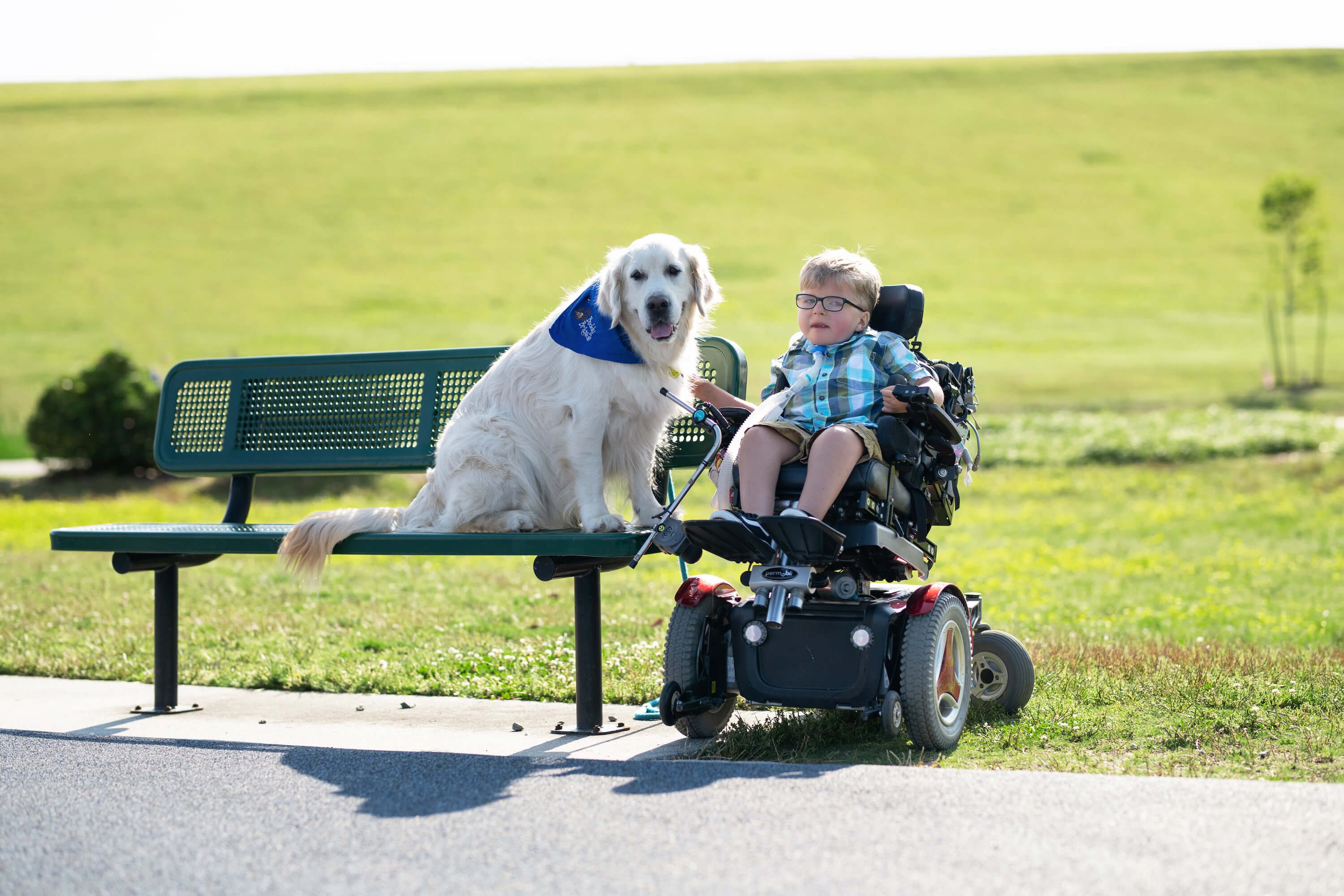 CHKD patient in a wheelchair outside with a buddy brigade dog.