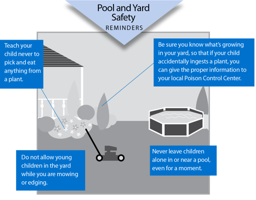Pool and Yard Safety Diagram